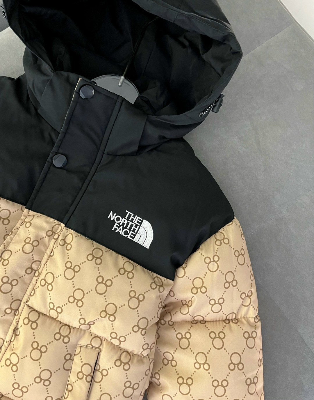 пуховик gucci x the north face,куртка с принтом gucci x the north face,теплая куртка,пуховик gucci,куртка гуччи и норт фейс
