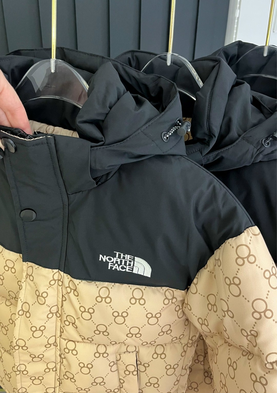 пуховик gucci x the north face,куртка с принтом gucci x the north face,теплая куртка,пуховик gucci,куртка гуччи и норт фейс
