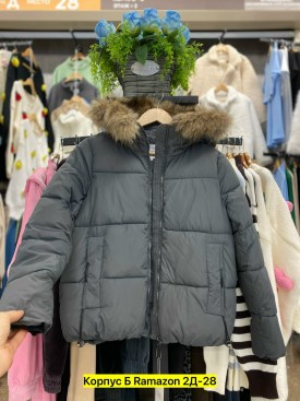 Верхняя одежда