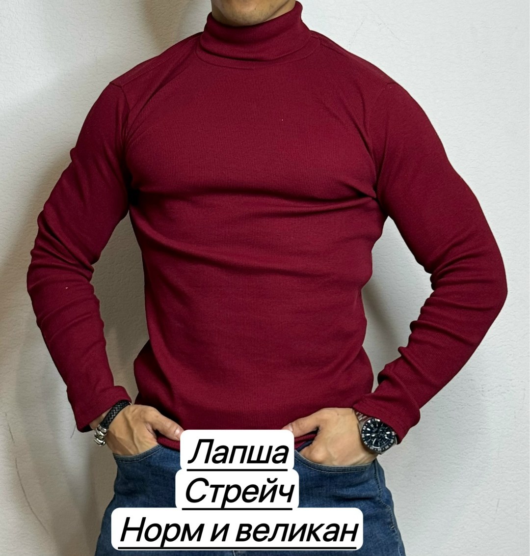 водолазка,мужская кофта,свитер для мужчин,кофта с горлом