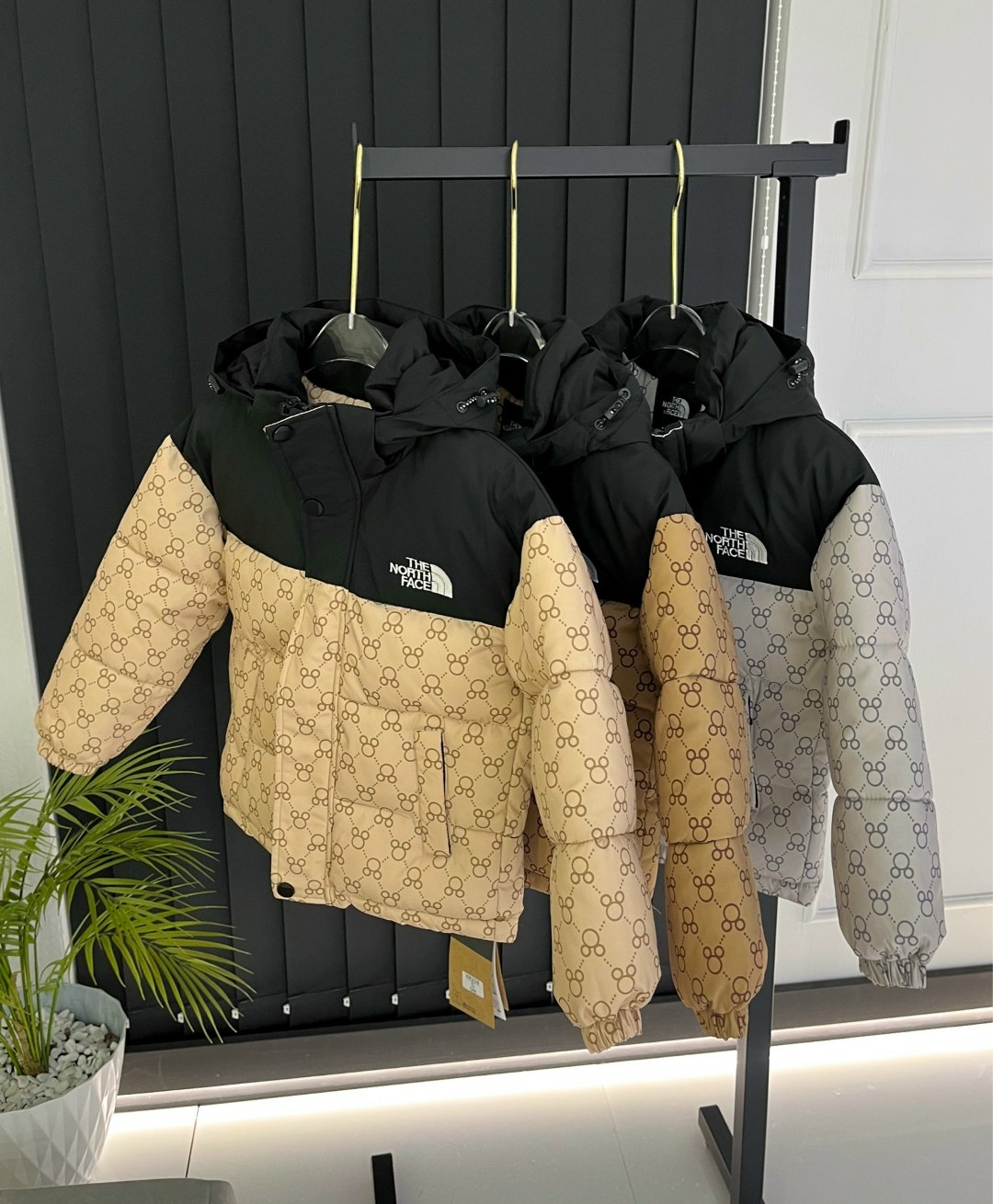 пуховик gucci x the north face,куртка с принтом gucci x the north face,теплая куртка,пуховик gucci,куртка гуччи и норт фейс