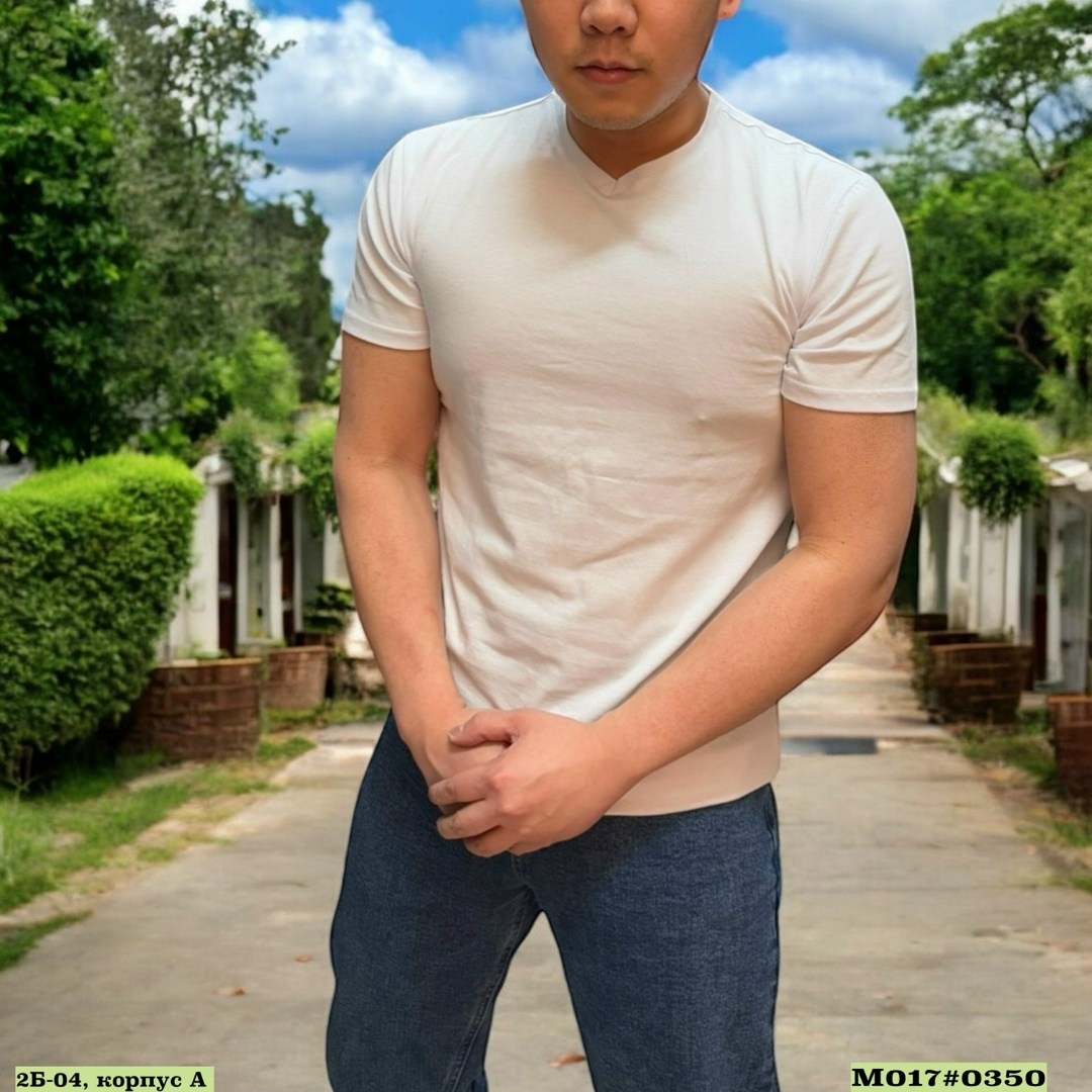 футболки мужские белые,мужская футболка,футболки для мужчин,белые футболки,фотографии мужские