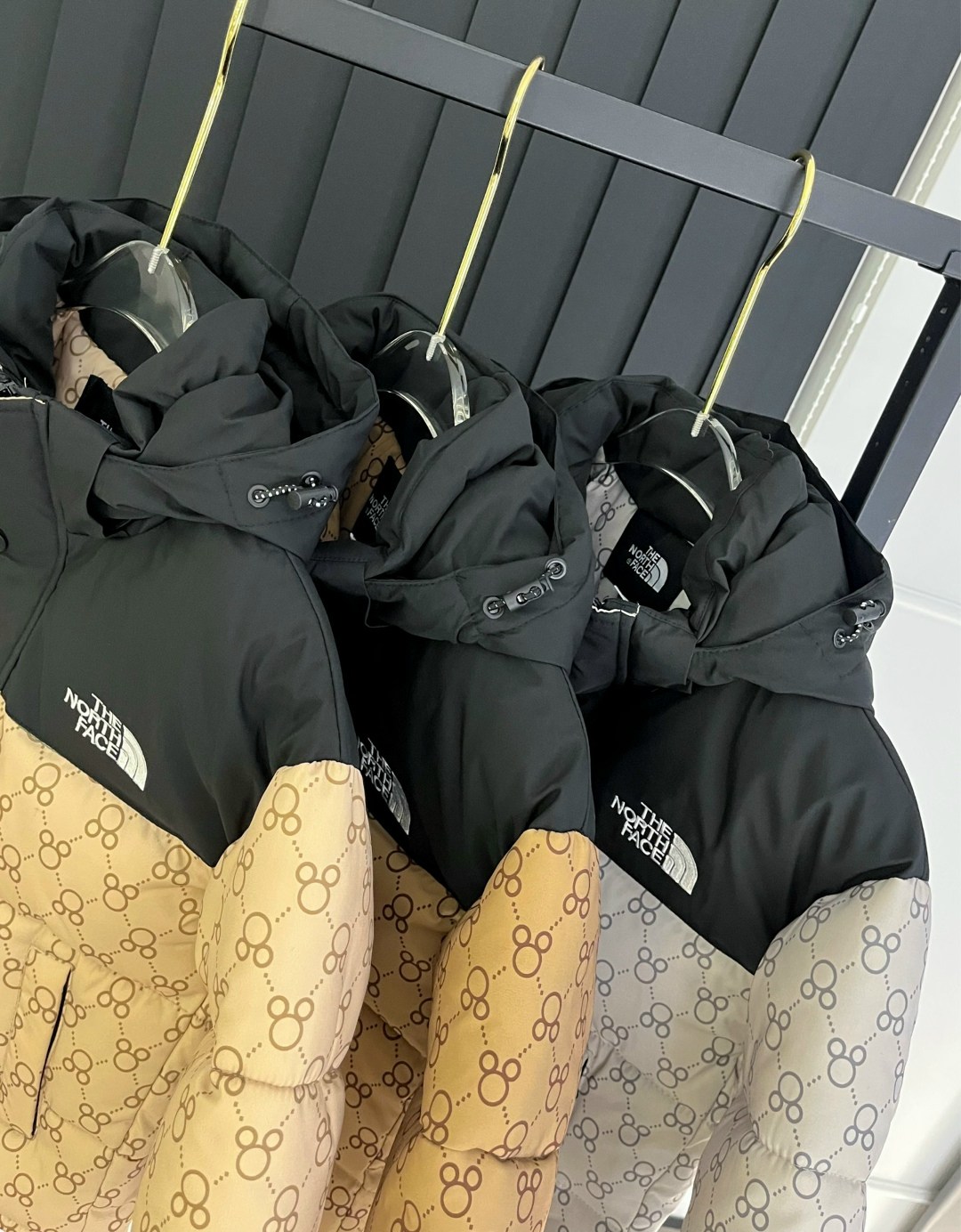 пуховик gucci x the north face,куртка с принтом gucci x the north face,теплая куртка,пуховик gucci,куртка гуччи и норт фейс