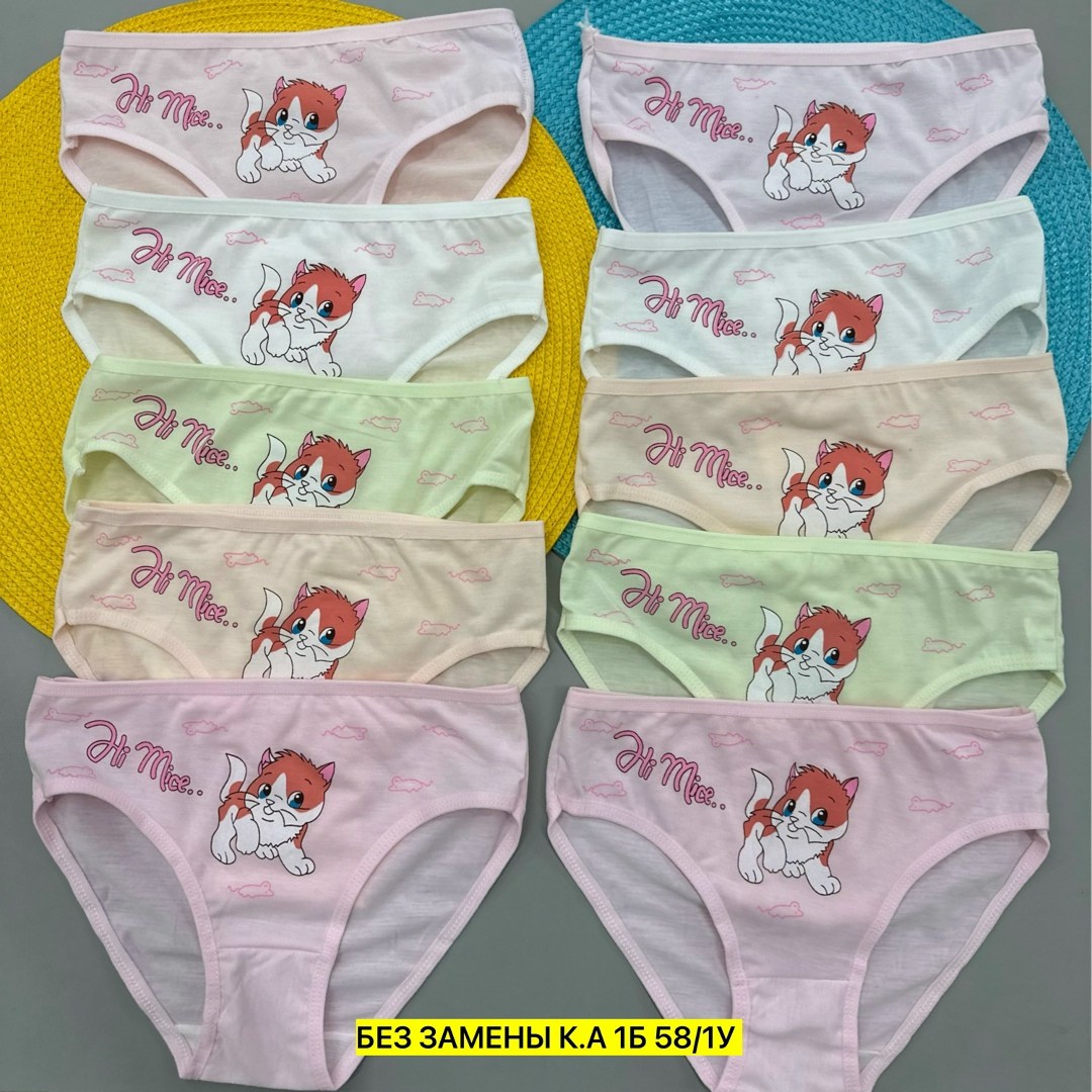 комплект трусов слипы donella для девочек,детские трусы для девочек,комплект трусов слипы donella,трусы для девочек 5 шт,комплект трусов для девочек baykar