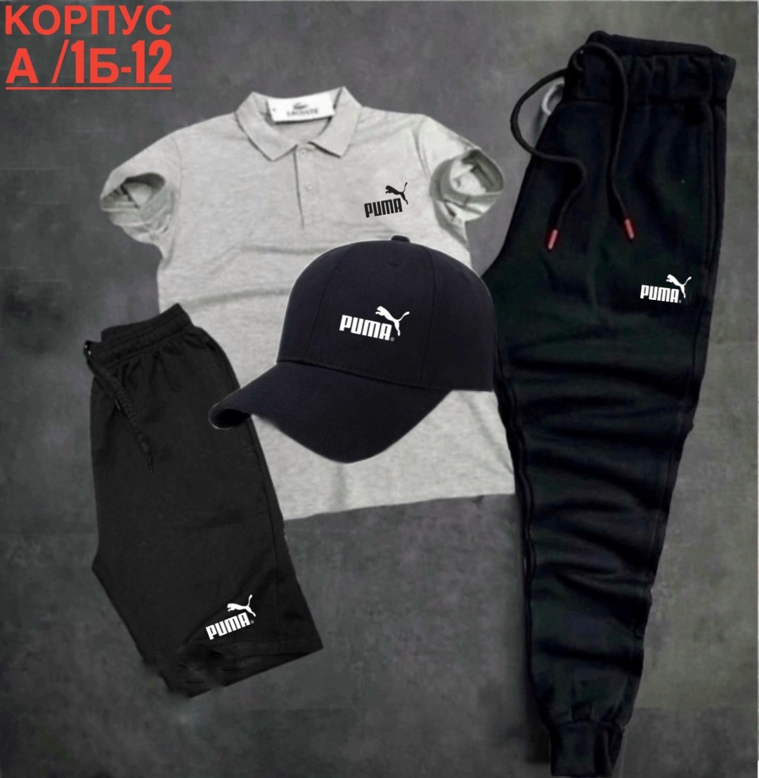 костюмы спортивные мужские,спортивный костюм мужской puma,костюм мужской puma,костюм поло,спортивный костюм мужской спортивный костюм