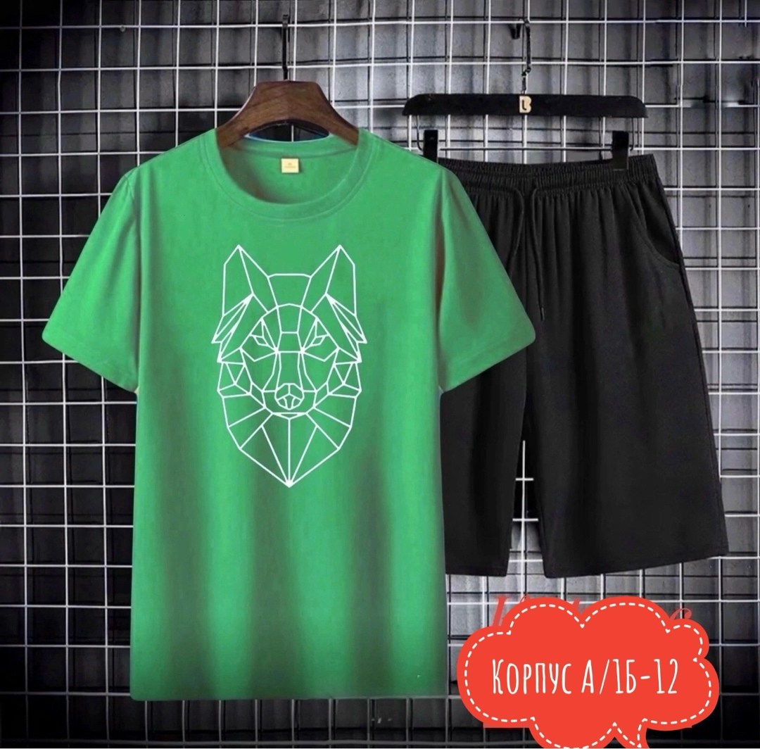 футболки комплект,футболка и шорты костюм, ,костюмы спортивные мужские,спортивные костюм