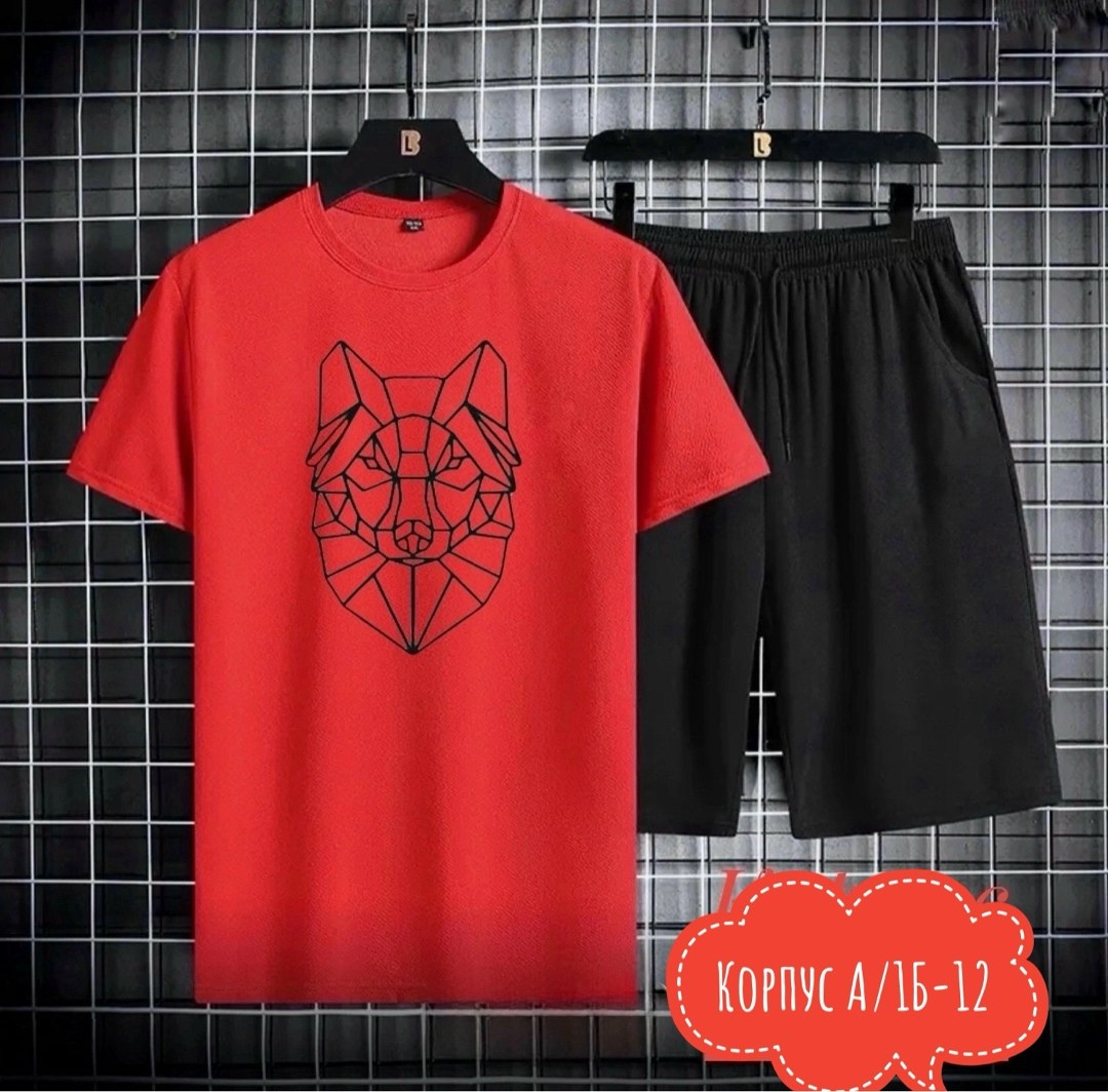 футболки комплект,футболка и шорты костюм, ,костюмы спортивные мужские,спортивные костюм