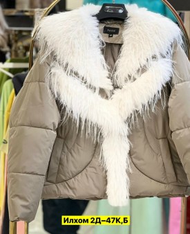 Верхняя одежда