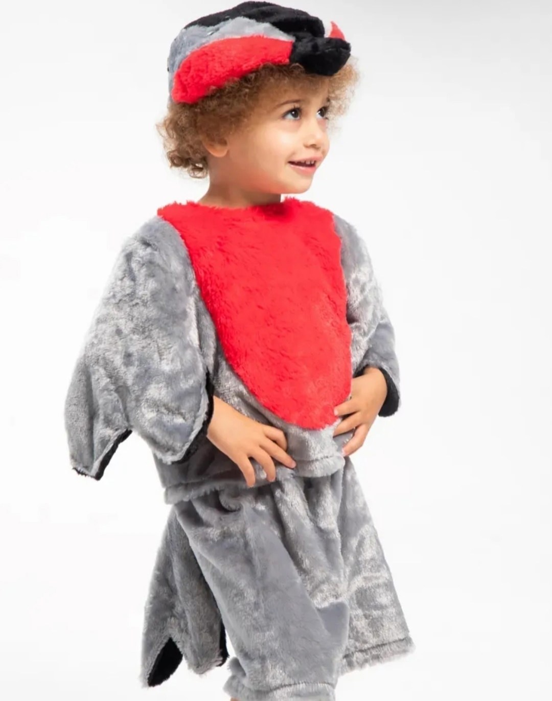 карнавалия костюм снегирь,детский карнавальный костюм снегирь,костюм снегиря,костюм снегирь для мальчика,костюм снегирь детский