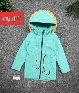 Верхняя одежда