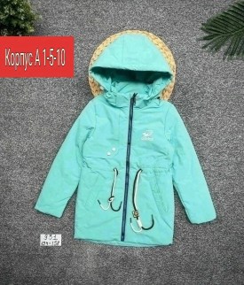 Верхняя одежда