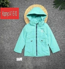 Верхняя одежда