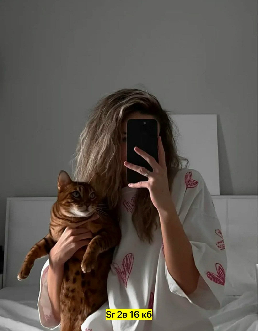 девушка,фотосессия с кошкой,фотосессия с котом,футболки оверсайз женские,женские футболки