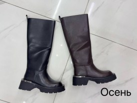 Сапоги