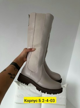 Сапоги