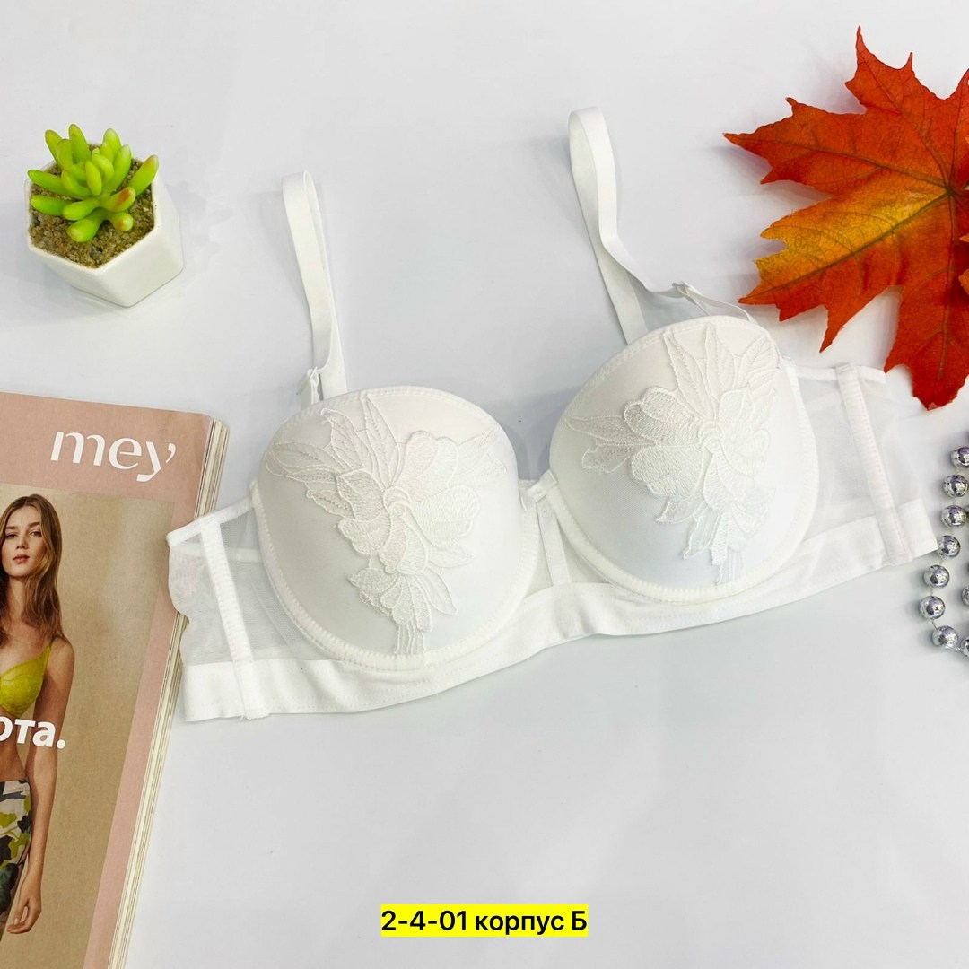 бюстгальтер женские,бюстгальтер,бюстгальтер пуш ап,нижнее белье бюстгальтер,бюстгальтер комплект