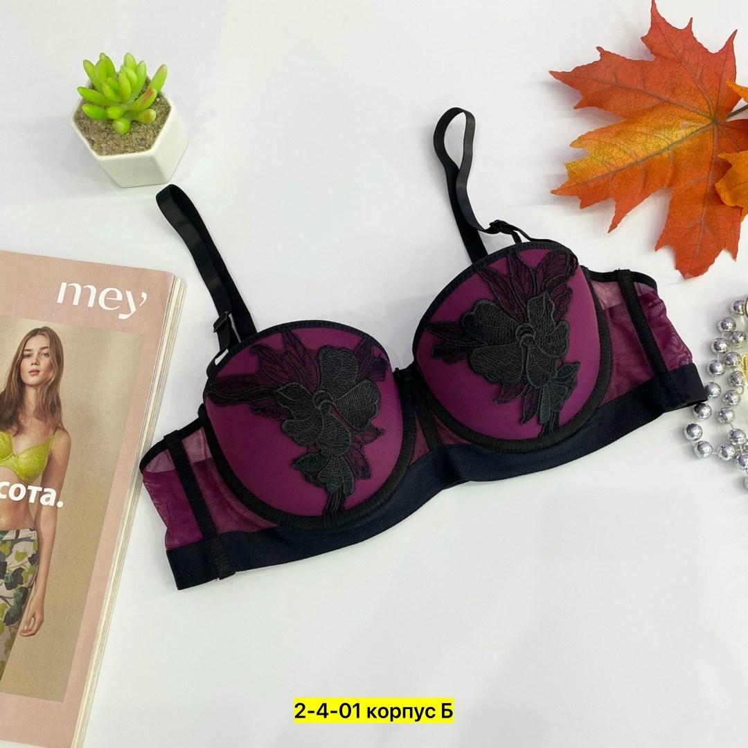 бюстгальтер женские,бюстгальтер,бюстгальтер пуш ап,нижнее белье бюстгальтер,бюстгальтер комплект