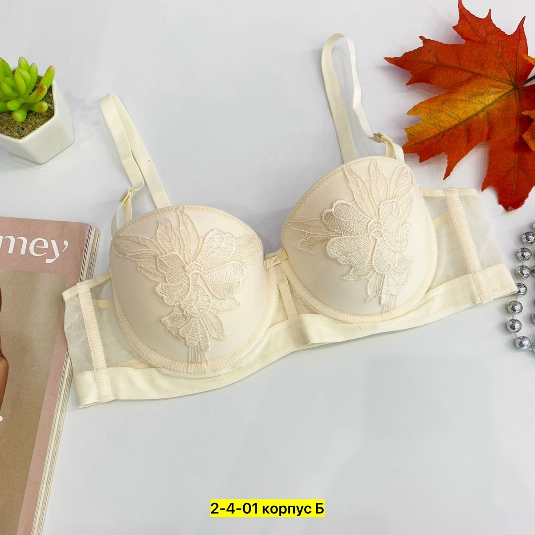 бюстгальтер женские,бюстгальтер,бюстгальтер пуш ап,нижнее белье бюстгальтер,бюстгальтер комплект