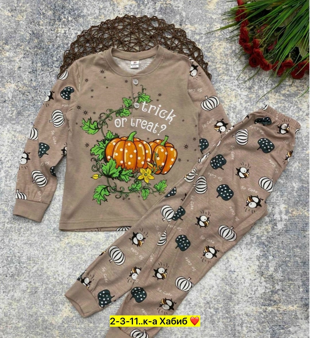 пижама для мальчика,пижама для мальчика с принтом,детская пижама,пижамы для мальчиков 4-5 лет,пижама для малыша