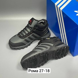 Одежда