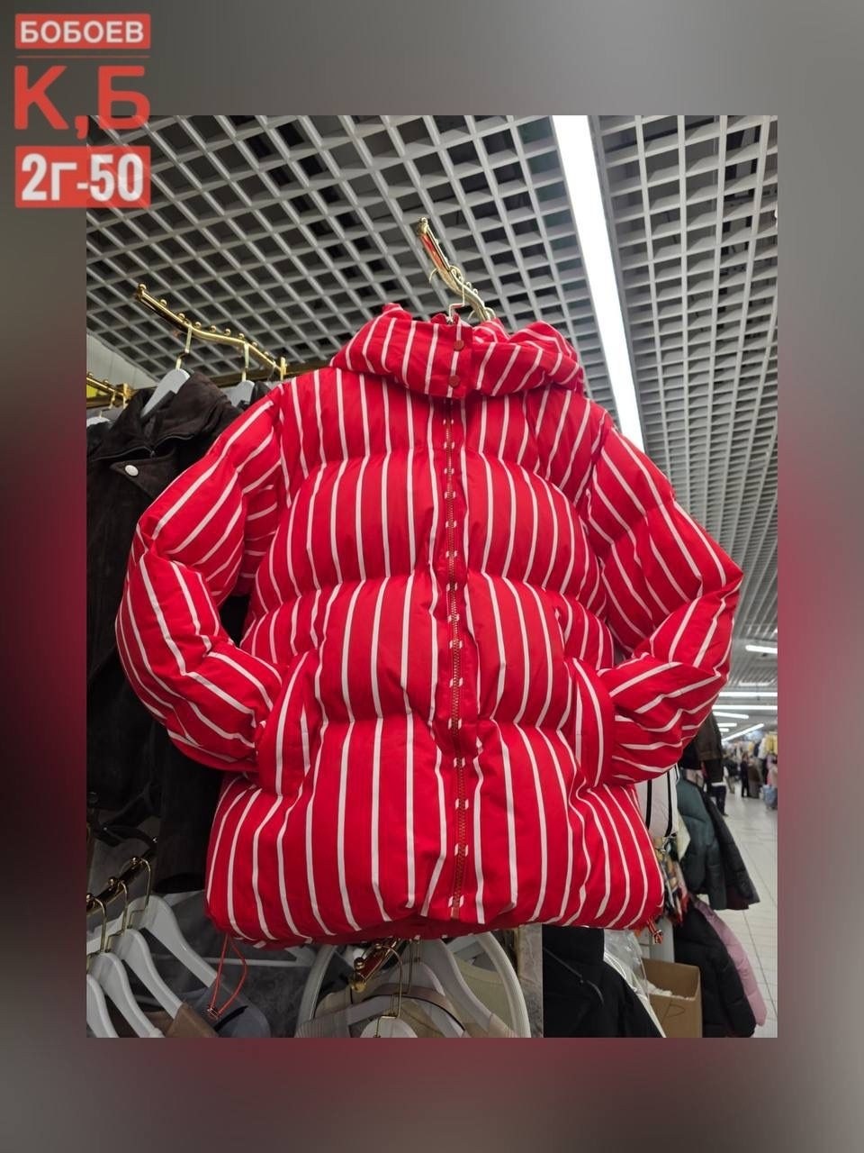 куртка демисезонная,куртка,стильная куртка,куртка пуховик,куртка модная