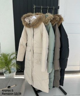 Верхняя одежда