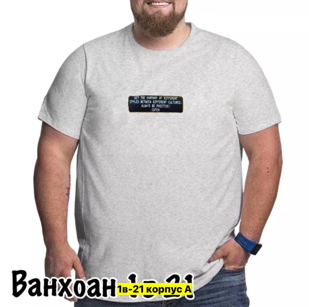 левайс футболка серая мужская,серая футболка левайс,футболка мужская,футболка левис,мужская футболка levis