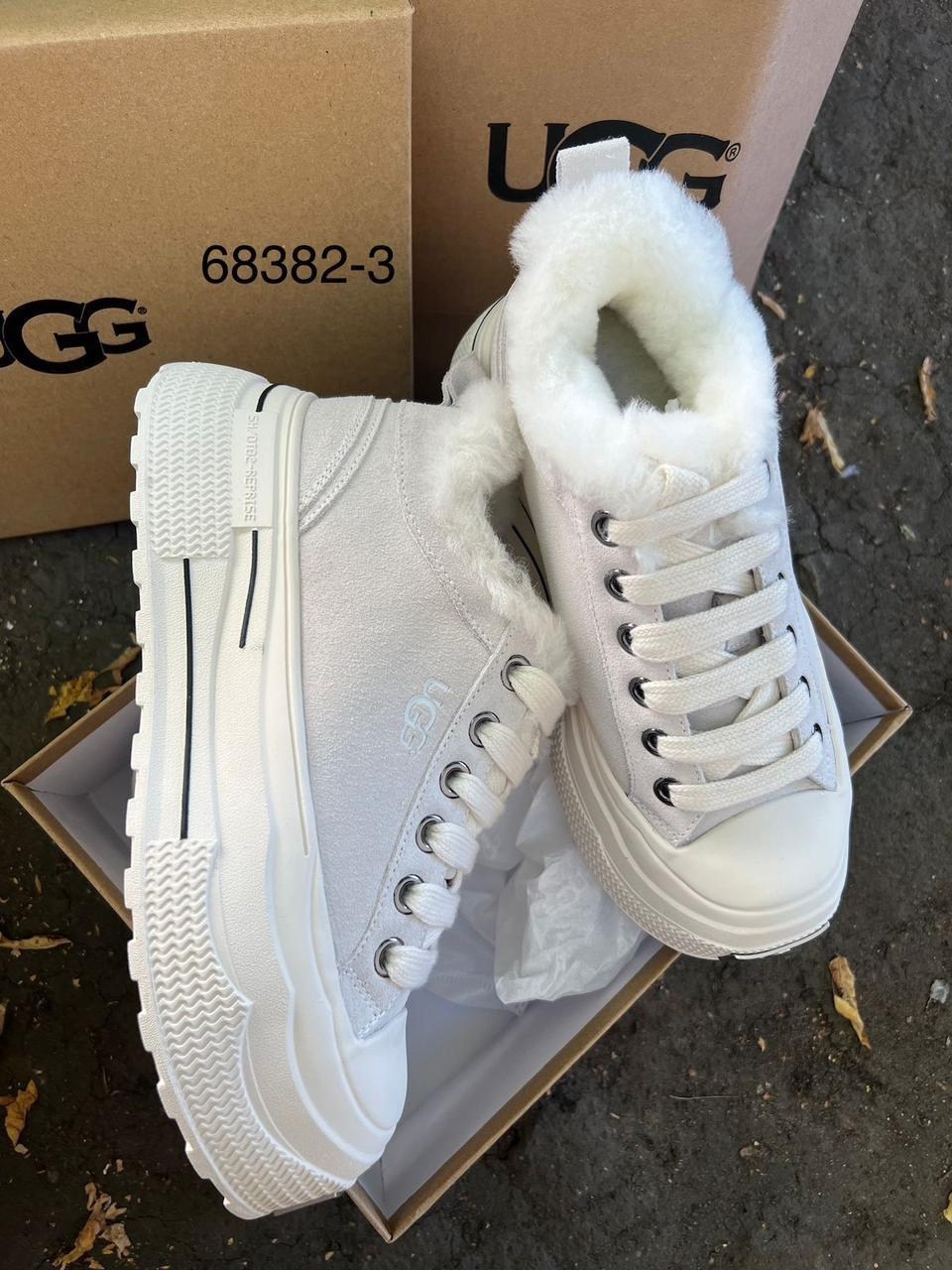 ,кеды женские зимние,кеды зимние ugg,зимние женские кроссовки,кроссовки женскиe