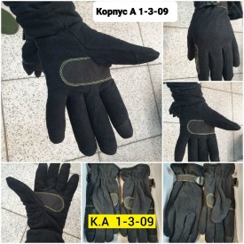 Одежда