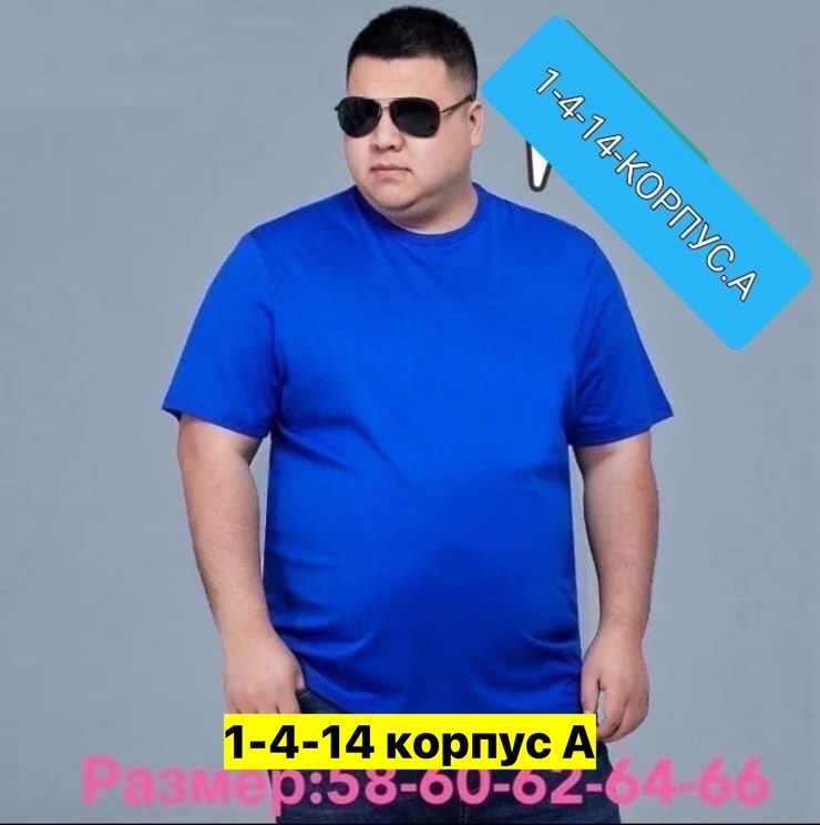 футболка мужская большие размеры,футболка мужская белая,мужская футболка,футболка большие размеры,белая футболка больших размеров