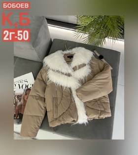 Верхняя одежда