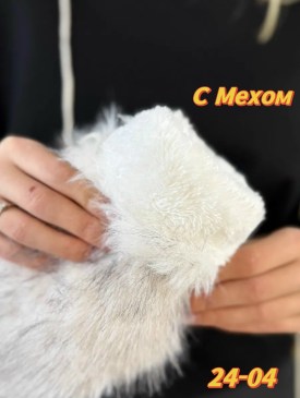 Одежда