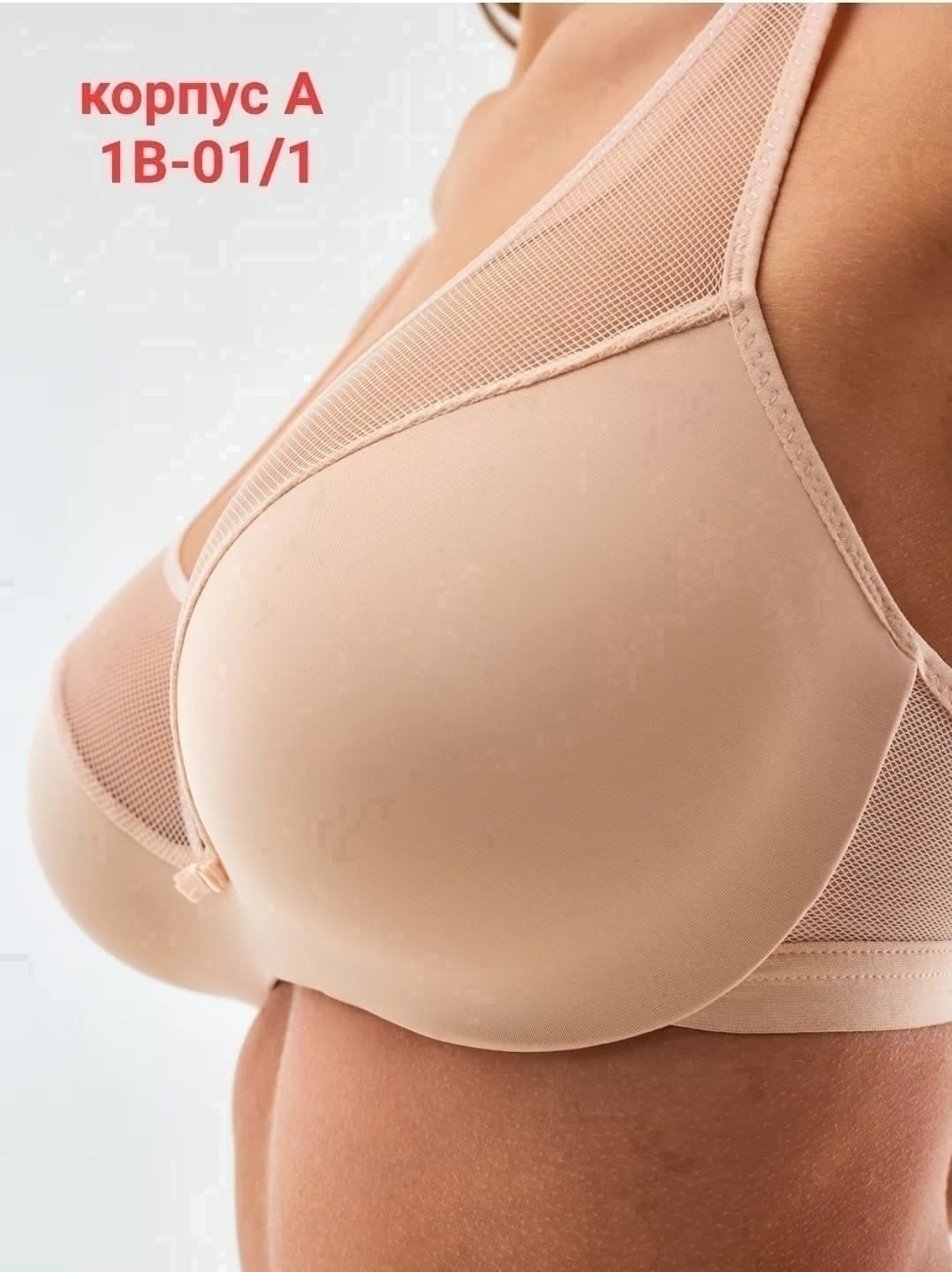 бюстгальтер,бюстгальтер женские,модели бюстгальтера,бюстгальтер с пуш ап,бюстгальтер для женщин