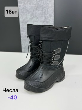 Сапоги