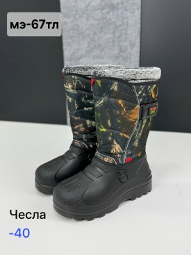 Сапоги