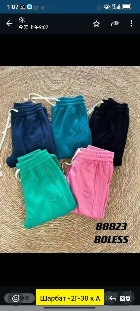 флисовые брюки,бархатный спортивный костюм,одежда с капюшоном,брюки бархатные,велюровый спортивная костюм