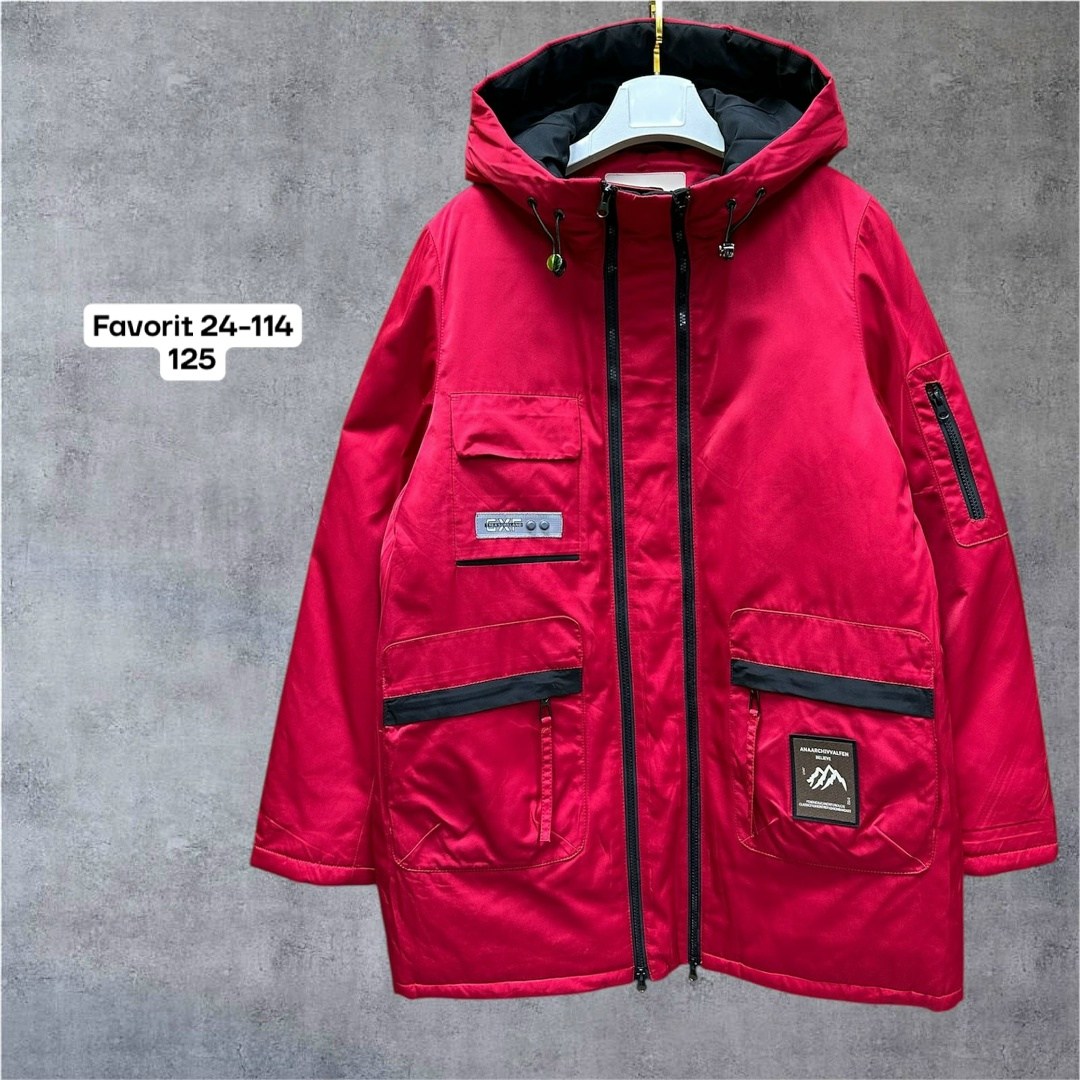 куртка для мальчика,зимняя куртка для мальчика,демисезонная куртка,куртка демисезонная для мальчик,куртка парка для мальчика