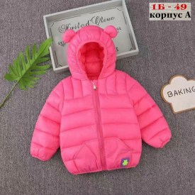 Верхняя одежда