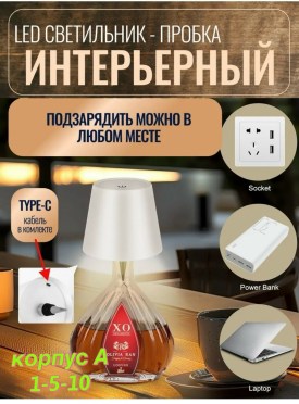 Одежда