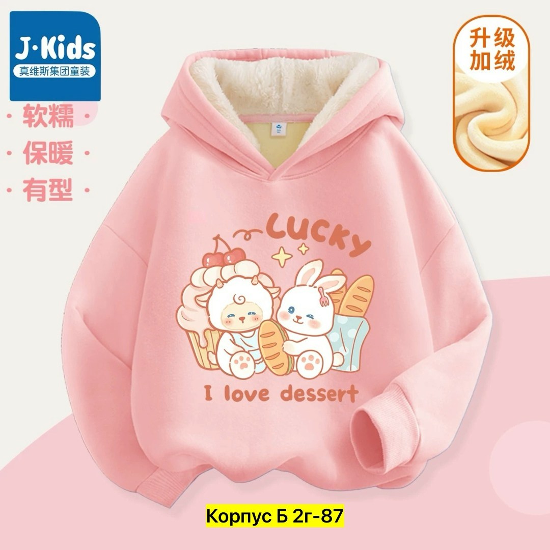 толстовка в стиле,толстовки для малыша,теплая толстовка,толстовки для мальчиков,пальто зимняя