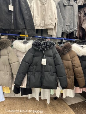 Верхняя одежда