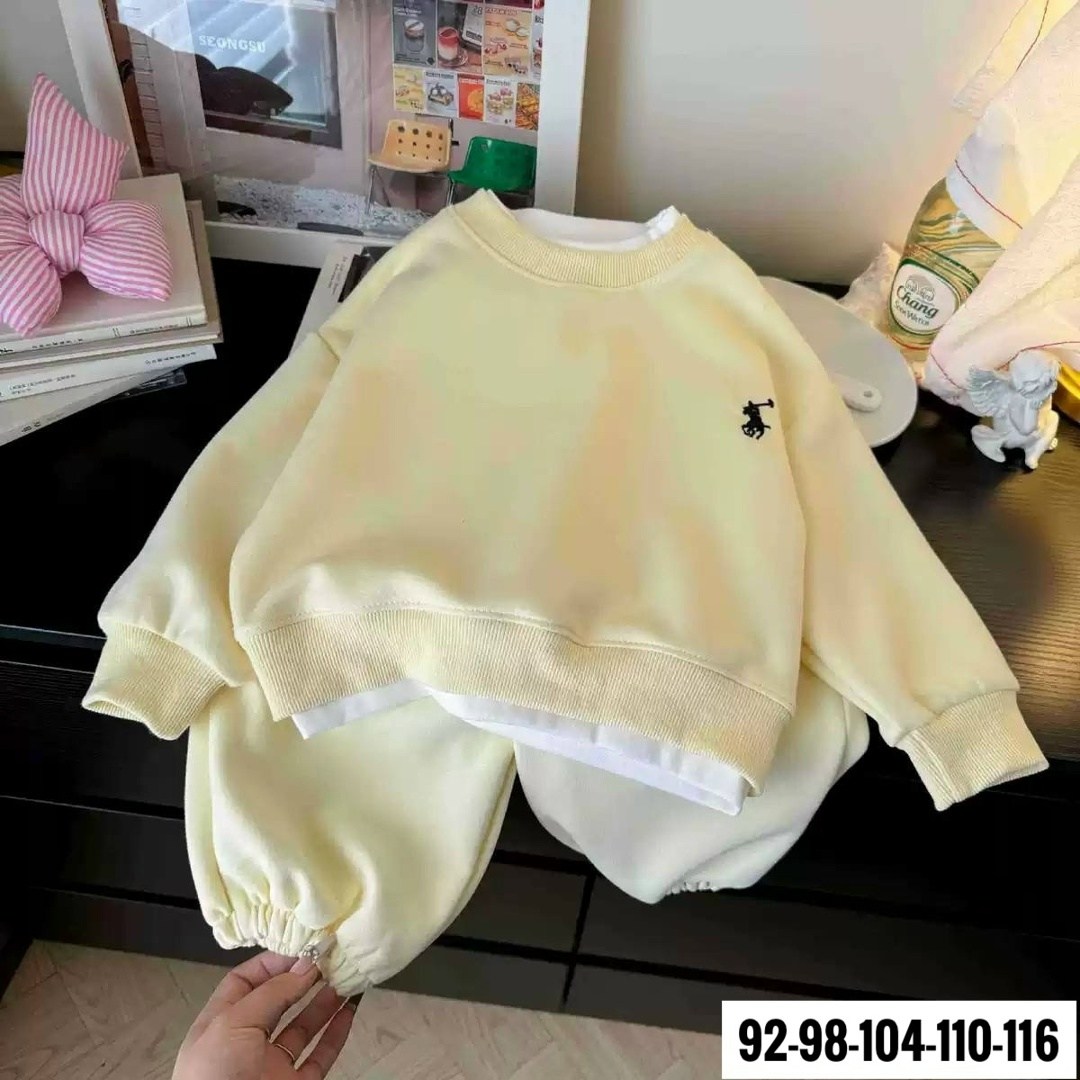 костюм двойка для малыша,детские спортивные костюмы,комплект свитшот,одежда комплект,детские костюмы