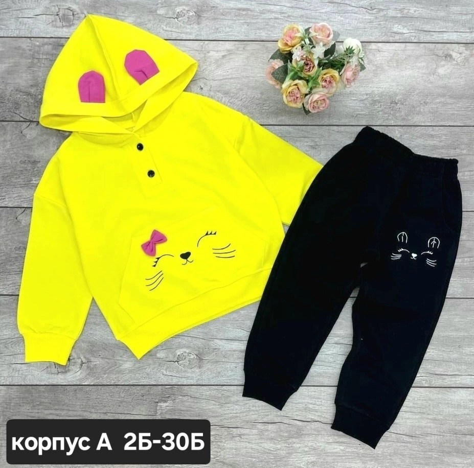 костюмы двойки,детские костюмы,костюмы для девочки,детский костюм,спортивные костюмы для девочек