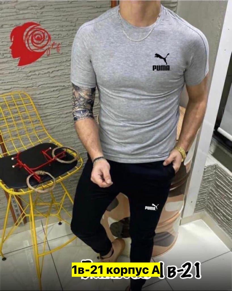 костюм футболка, ,костюм спортивный мужской,костюм футболка и штаны,спортивные костюм