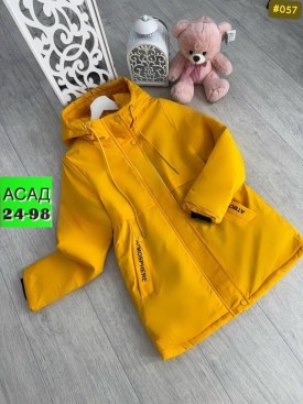 Верхняя одежда