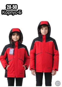 Верхняя одежда