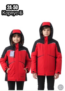 Верхняя одежда