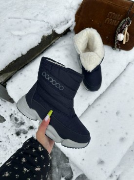 Сапоги