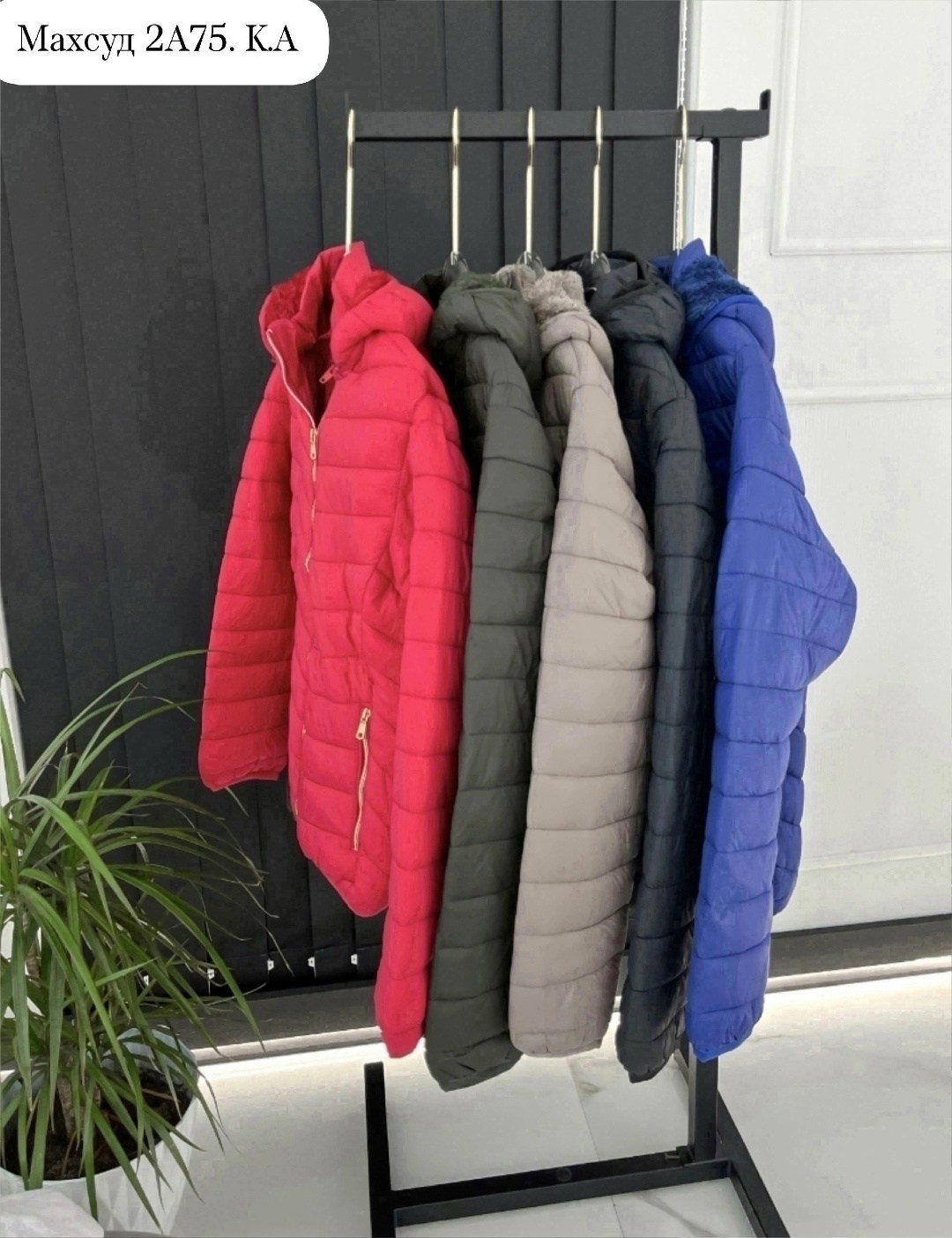 куртка женская демисезонная,демисезонная куртка,женская куртка,куртка весенние,куртка весенняя легкая