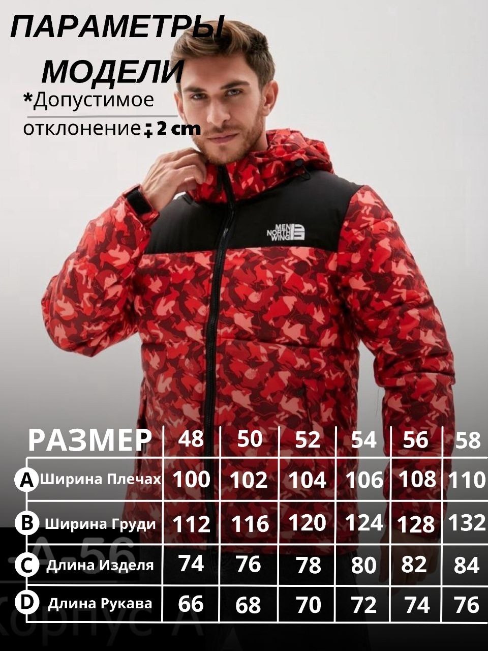 куртка the north face,куртка,the north face мужская куртка,мужские пуховики,куртка мужская зимняя